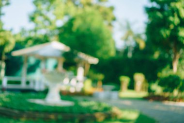 Bokeh yeşil Parkı plaj ve tropikal Hindistan cevizi ağaçları ile bulanıklık