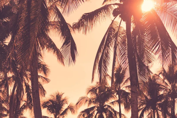 Силуэт кокосовые пальмы с закатом и вспышки неба фоне . — стоковое фото
