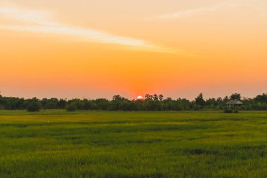 Dağ sahne görünümü ile alacakaranlık gökyüzü güzel pembe renk tonu Tema günbatımı ve gündoğumu.