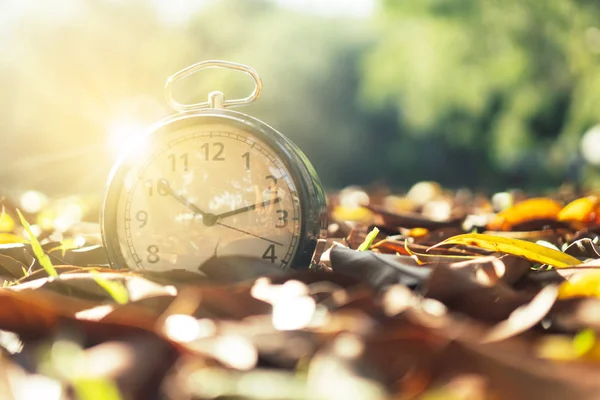 Foco seletivo do despertador com fundo da natureza . — Fotografia de Stock