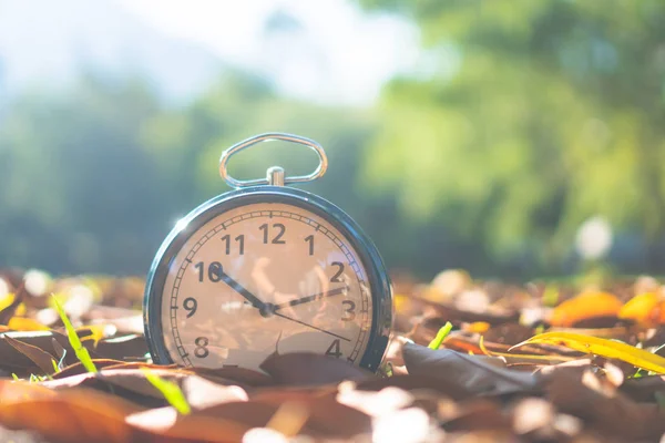 Foco seletivo do despertador com fundo da natureza . — Fotografia de Stock