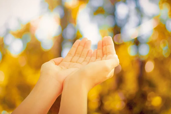 Woman hands place together like praying in front of nature green  background.