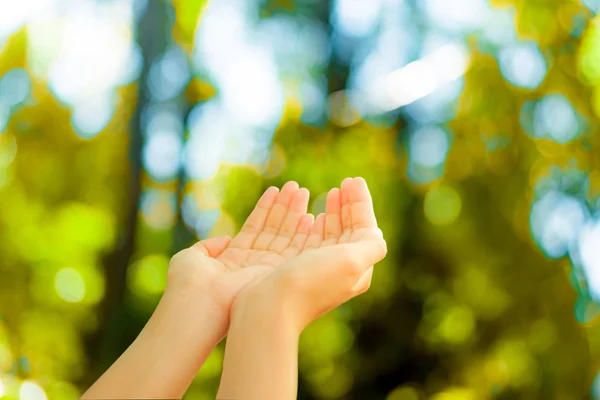 Woman hands place together like praying in front of nature green  background.