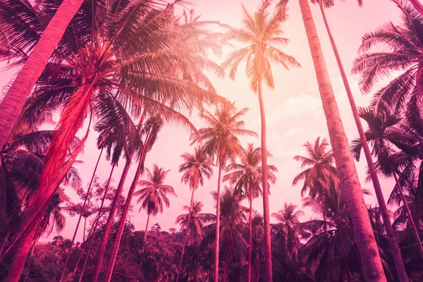 Silhouette palme da cocco con tramonto e sfondo cielo flare . — Foto Stock