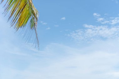 Uzayı kopyala mavi gökyüzü ve beyaz bulut soyut arkaplanı.