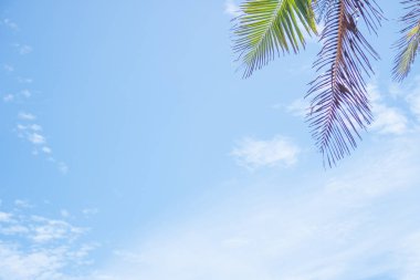 Uzayı kopyala mavi gökyüzü ve beyaz bulut soyut arkaplanı.