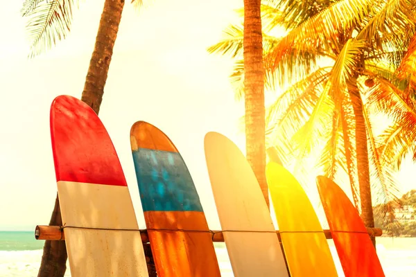 Wiele desek surfingowych obok drzew kokosowych na letniej plaży z słońcem i błękitnym tle nieba. — Zdjęcie stockowe