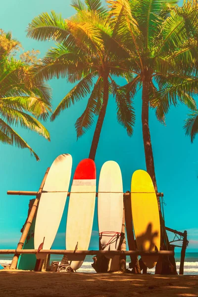 Muchas tablas de surf junto a cocoteros en la playa de verano con luz solar y fondo azul cielo. —  Fotos de Stock