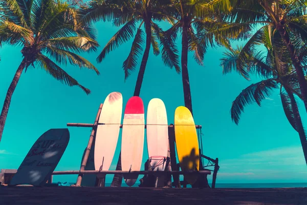 Wiele desek surfingowych obok drzew kokosowych na letniej plaży z słońcem i błękitnym tle nieba. — Zdjęcie stockowe