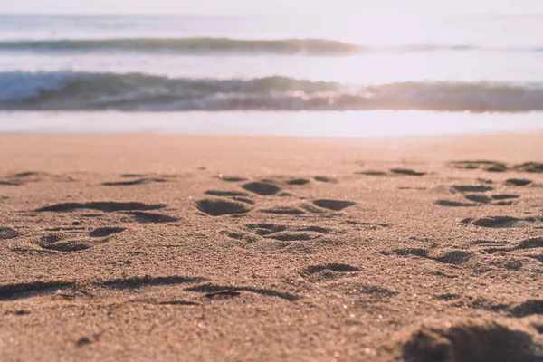 Tropische natuur schoon strand en wit zand in de zomer met zon licht blauwe hemel en bokeh achtergrond. — Stockfoto