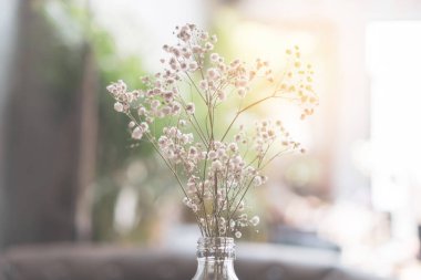 Yaz bokeh arka plan ile güzel renkli çiçekler seçici odak.