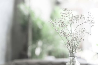 Yaz bokeh arka plan ile güzel renkli çiçekler seçici odak.