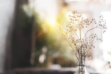 Yaz bokeh arka plan ile güzel renkli çiçekler seçici odak.