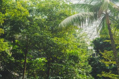 Singapur 22 Sep 2019 Singapur Changi Havalimanı. Açığa çıkarılan Jewel 'in merkez parçası dünyanın en uzun kapalı şelalesidir..