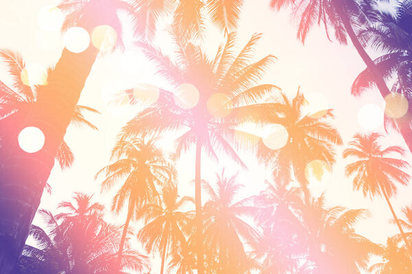 Tropical palm coconut trees on sunset sky flare and bokeh nature colorful fun background.