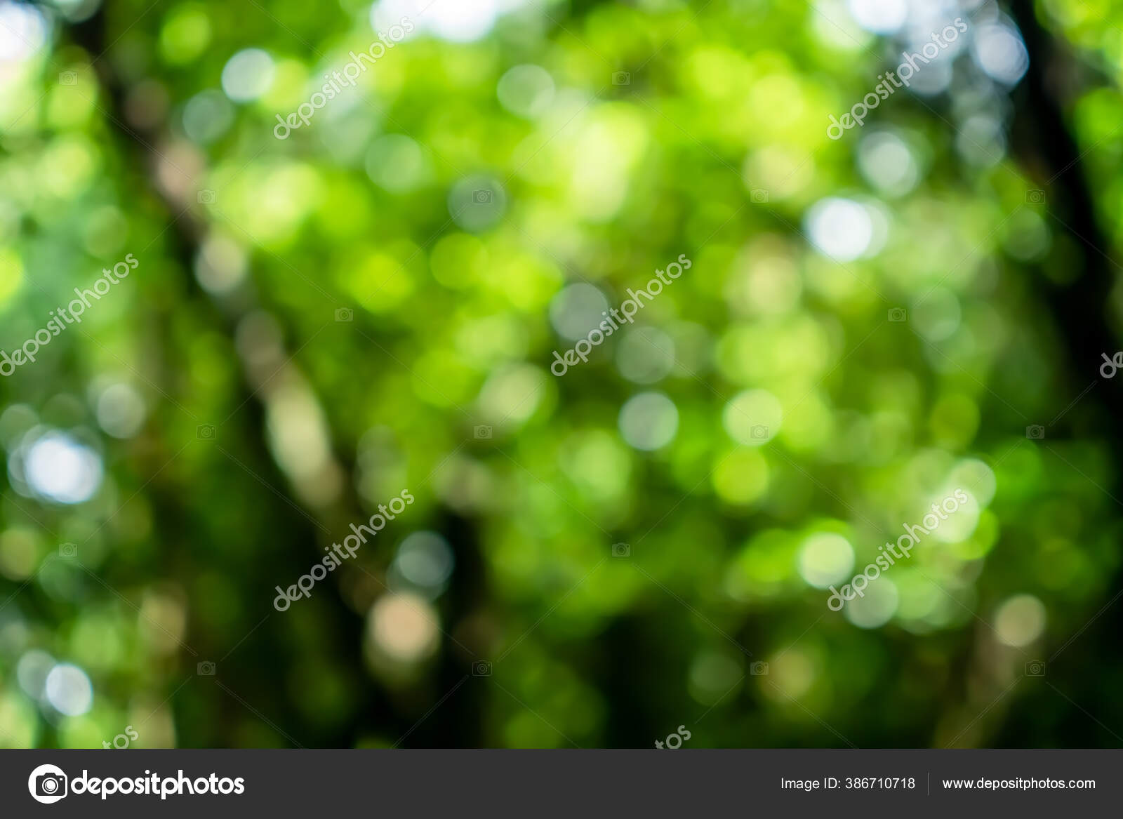 Hutan Hijau Hutan Tropis Kayu Dengan Sinar Matahari Bokeh Abstrak Stok Foto C Antstang Yahoo Com 386710718