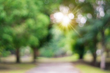 Bulanık doğa, günbatımında parkı aydınlatan ışık arka planına sahip bir çok ağaç..