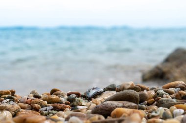 Görüntü ürünü için arka planda bulanık plajlı kayaların dokusuna seçici odaklanma.