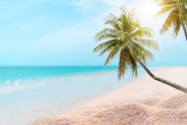 Tropikal doğa temiz plaj ve yazın beyaz kum palmiye yaprağı güneşi açık mavi gökyüzü ve soyut arkaplan.