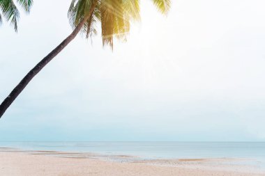 Tropikal doğa temiz plaj ve yazın beyaz kum palmiye yaprağı güneşi açık mavi gökyüzü ve soyut arkaplan.