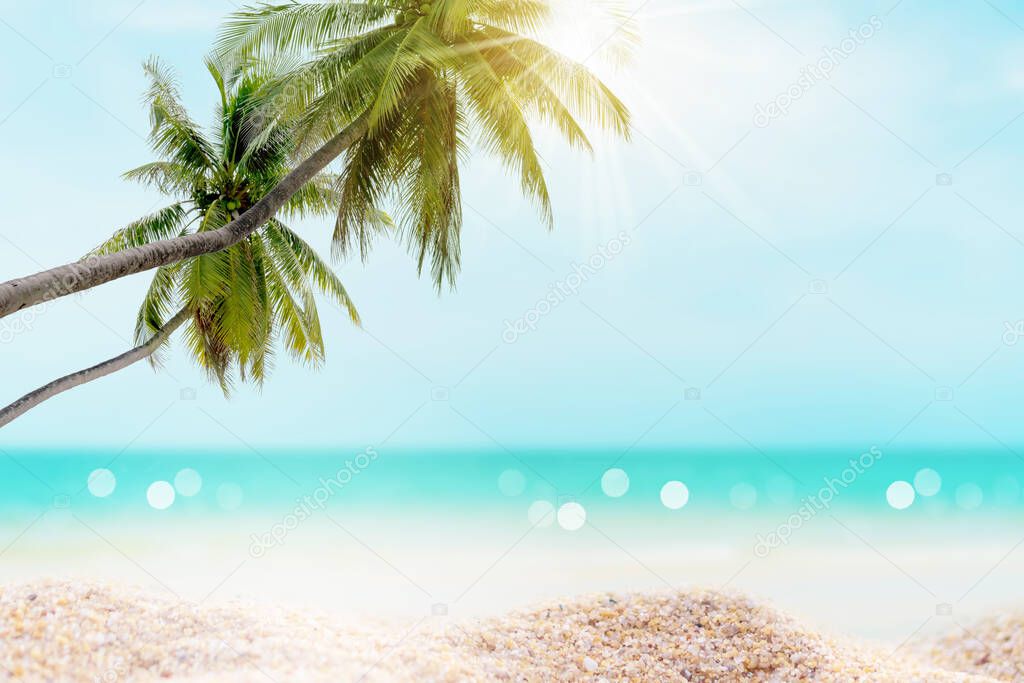 Tropical nature clean beach and white sand in summer with palm tree leaf sun light blue sky and bokeh abstract  background.