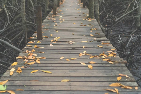 Wooden bridge to nature walk way into the jungle background.