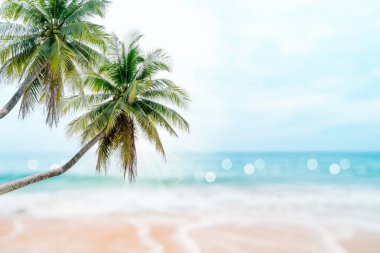 Tropikal doğa temiz plaj ve yazın beyaz kum palmiye yaprağı güneşi açık mavi gökyüzü ve soyut arkaplan.