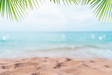 Tropikal doğa temiz plaj ve yazın beyaz kum palmiye yaprağı güneşi açık mavi gökyüzü ve soyut arkaplan.