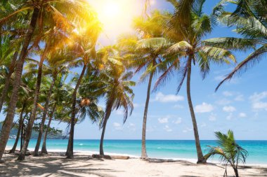 Tropikal doğa temiz plaj ve yazın beyaz kum palmiye yaprağı güneşi açık mavi gökyüzü ve soyut arkaplan.
