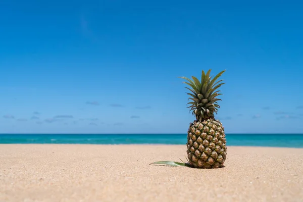 Pineapple on sand with on blue sky summer concept background.