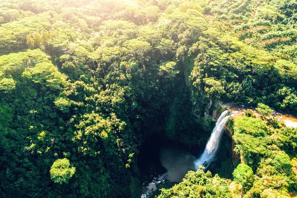 Vue aérienne de la cascade de Chamarel à Maurice — Photo