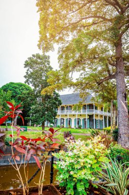 Mauritius adasında botanik bahçesi