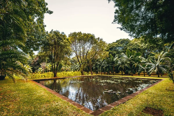 Mauritius adasında botanik bahçesi — Stok fotoğraf
