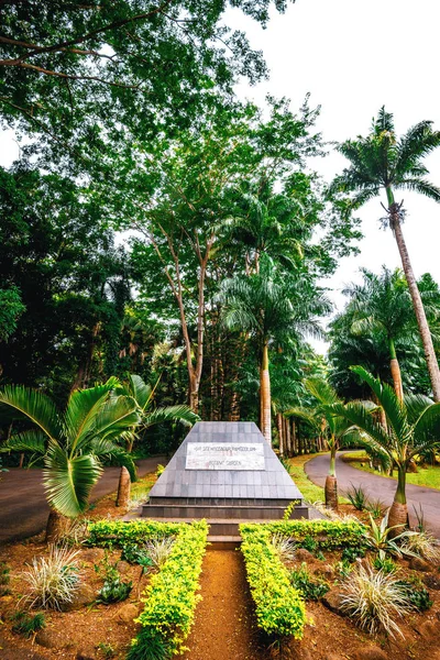 Mauritius adasında botanik bahçesi — Stok fotoğraf