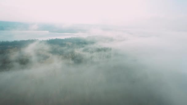 Воздушный туман над водой. Осенние цвета Европы. Туман над озером . — стоковое видео
