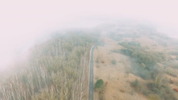 雾中的秋天风景。道路， 森林. — 图库视频影像