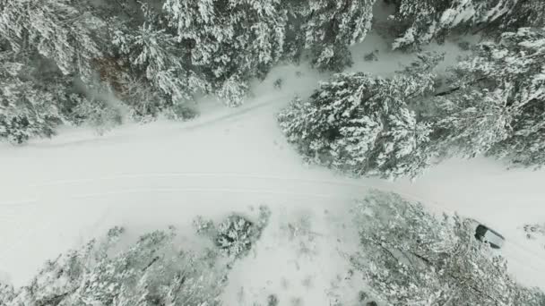 Voando acima do carro dirigindo ao longo da estrada nevada que conduz através da floresta densa no inverno. em 4K — Vídeo de Stock