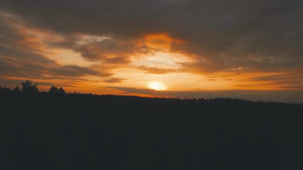 Puesta de sol ardiente sobre el bosque — Vídeo de stock