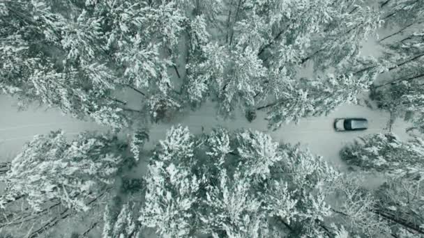Carro dirigindo na estrada do país de inverno na floresta nevada. — Vídeo de Stock