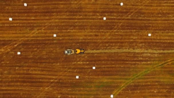 Combina no campo. Vista aérea das colheitadeiras . — Vídeo de Stock