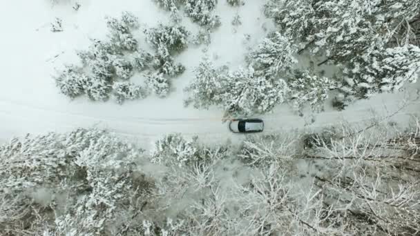 Flygbild av bilkörning på vinter landsvägen genom snötäckt skog. — Stockvideo