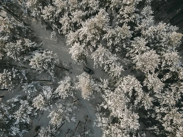 空中俯瞰着冬季白雪覆盖的松树林。 冬季森林质感。 空中景观. — 图库照片