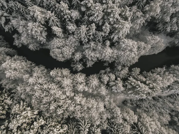 苏州河雪地覆盖森林的空中景观平静如画. — 图库照片