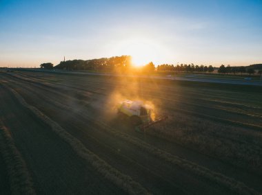 Tarlada çalışan hasat makinesi. Buğday tarlasını hasat eden tarım makinesini birleştirin.