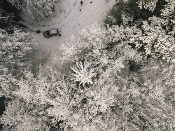 一辆汽车停在乡间公路上的冬季森林里. — 图库照片