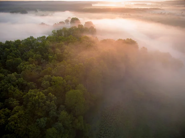 Sunrise over spring meadow. Spring aerial landscape. Spring sunrise over green forest and field with river and fog.