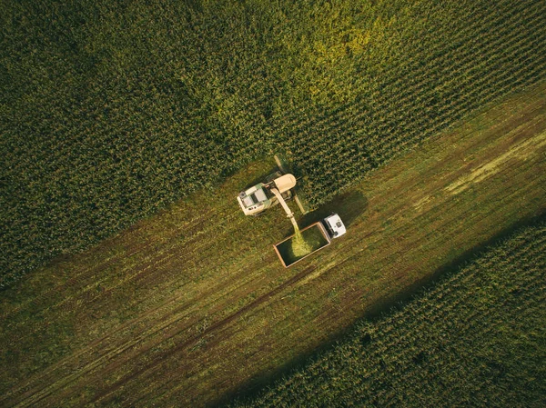 Machines harvesting corn in the field. Aerial drone shot. — Stock Photo, Image