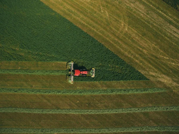 Tarlada mısır toplayan makineler. Hava aracı görüntüsü. — Stok fotoğraf