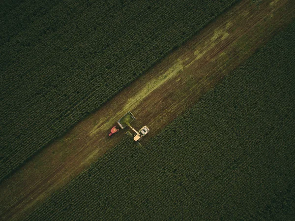 Maschinen ernten Mais auf dem Feld. Drohnenschuss aus der Luft. — Stockfoto