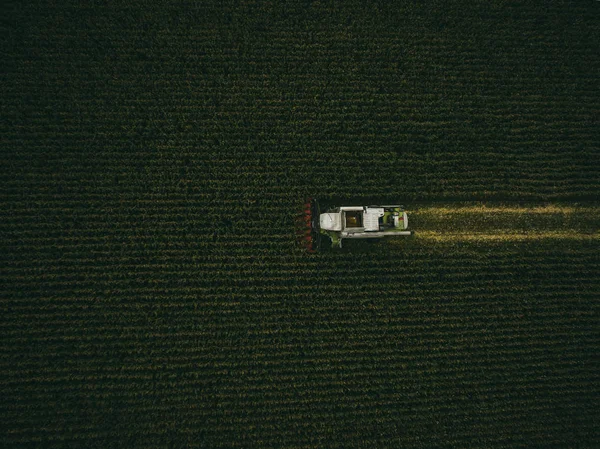 Machines harvesting corn in the field. Aerial drone shot. — Stock Photo, Image